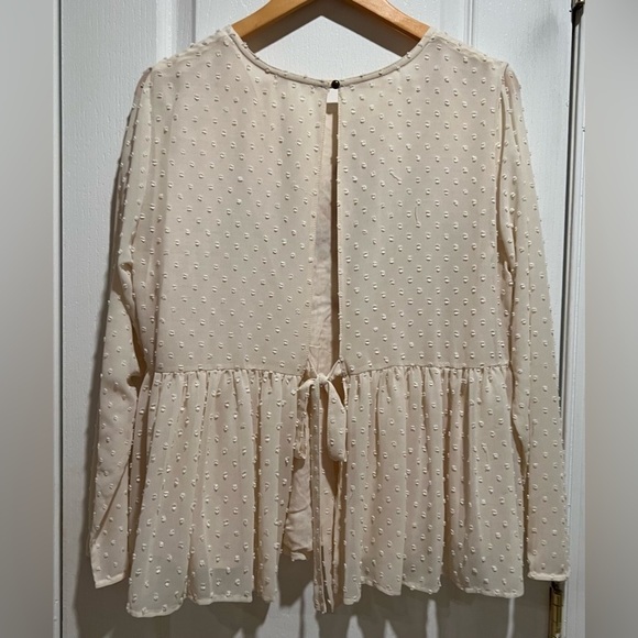 SKYLAR + JADE Swiss Dot Peplum Floral Embroidered Blouse size XL - Picture 3 of 5